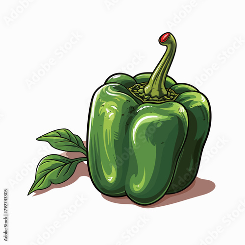 Illustration of a green bell pepper isolated on a white background.