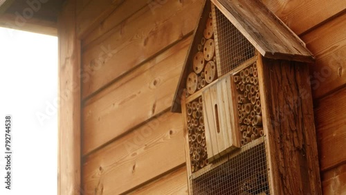 A bee flies into an insect hotel hanging on a garden shed photo