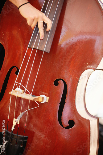 Standup bass being played at wedding