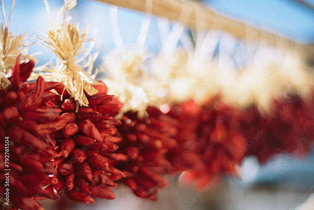 Fototapeta premium Red Chile in Santa Fe New Mexico