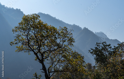 Mountain scenery in Mae Hong Son province, Thailand photo