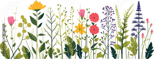 Row of colorful wildflowers on white background