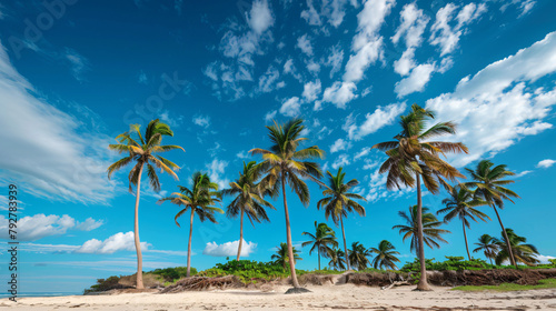 Tropical beach with palm trees under blue sky ..