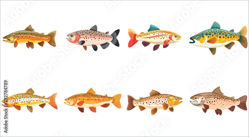 Trout fish, Cute trout fish illustration
