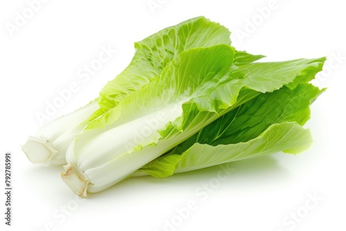 Crisp and Nutritious Endive Lettuce: Isolated Fresh Green Vegetable for Healthy Salads on White Background photo