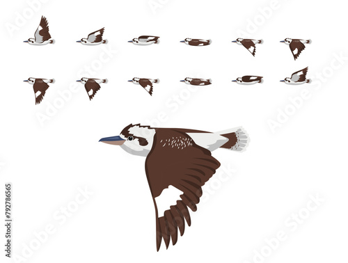 Bird Animation Kookaburra Flying Cute Cartoon Vector Illustration