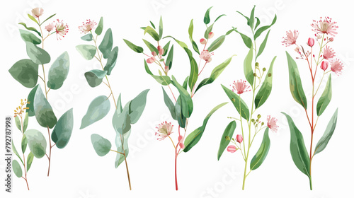 Blooming eucalyptus hand drawn vector illustration se photo