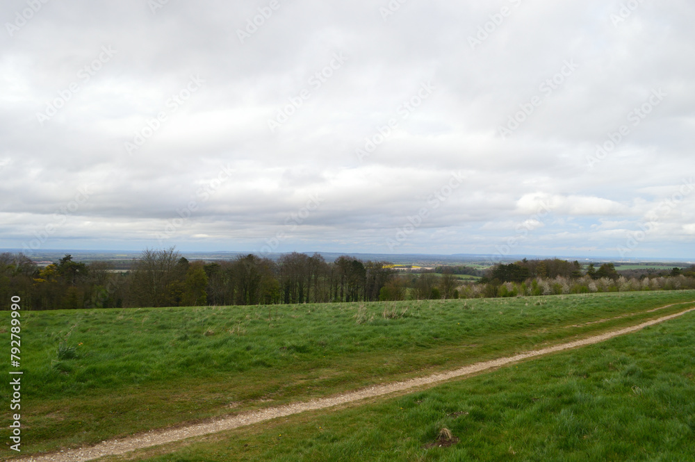 Narrow path in a green field under the cloudy sky