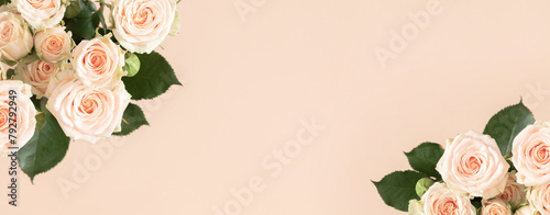 Festive light background with beautiful small roses. White roses and on pastel beige background. Mother's day, Valentine's day, wedding. Banner