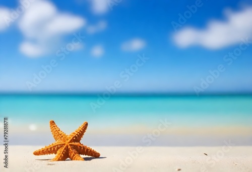 A starfish on a sandy beach with clear turquoise water and a bright blue sky in the background