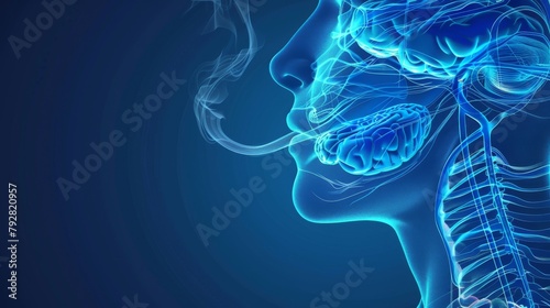 Medical modern illustration of an olfactory nerve on a white background photo
