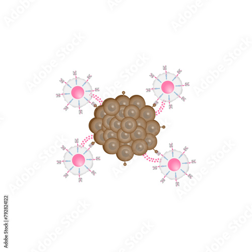 CAR T-cell therapy. Chimeric antigen receptor T cell ,CAR T cell, for use in immunotherapy. Genetic engineering. Chemotherapy. vector illustration.