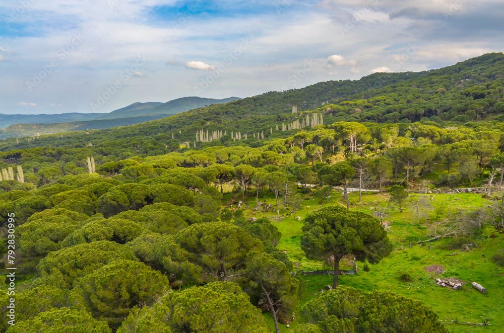 Kozak Plateau scenic view from Ida Madra Geopark (Izmir province, Turkiye)