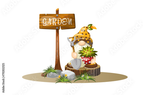 Summer composition garden dwarf