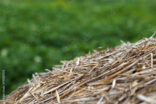 hay bale in the field with green background