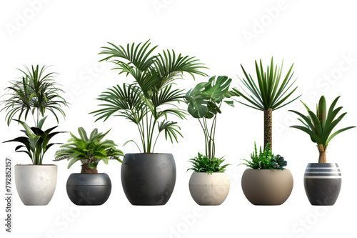  sequence of houseplants in pots  varying in size and type  presented with a transparent background for interior desig