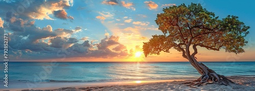 An exquisite beach landscape with the water, trees, and sunsets. The water is visible in the backdrop, while the tree is situated on the sand. photo
