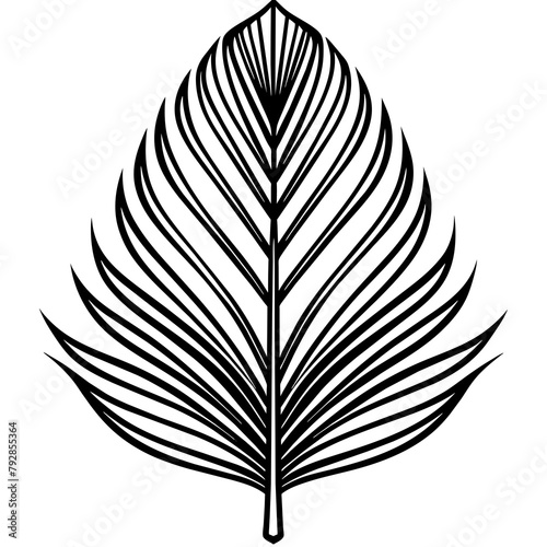 papyrus leaf outline - Vector - Vector art - Vector illustration - Vector design - Latest Vector - Ultimate Vector - Premium Vector - Vector pro - Premium illustration