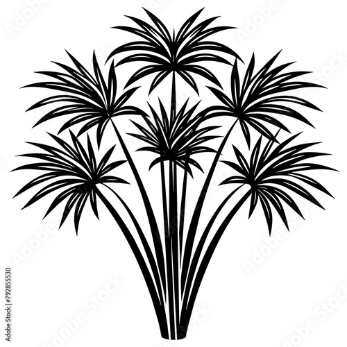 For T-shirt Design Vector Papyrus plant silhouette - Vector - Vector art - Vector illustration - Vector design - Latest Vector - Ultimate Vector - Premium Vector - Vector pro - Premium illustration