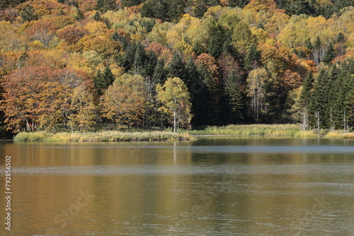 朝晩の冷え込み厳しくなる10月の中旬、葉の色づきが加速してきたダム湖畔 photo