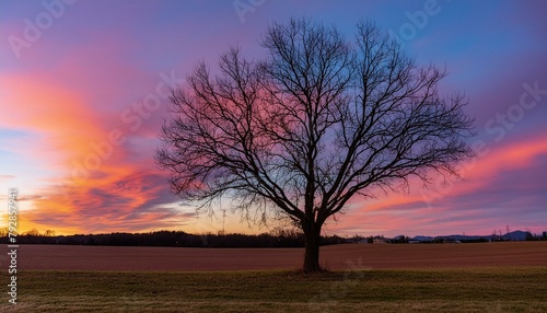 Nighttime Reverie: Leafless Tree Bathed in Purple and Pink Hues