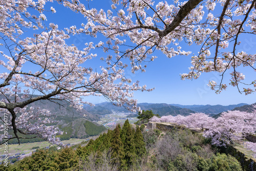桜満開の竹田城跡