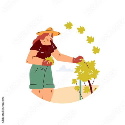Vector scene on a white background with a young girl who takes care of a grape bush on a plantation