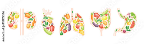 Healthy Human Internal Organs with Fruit and Vegetables Vector Set