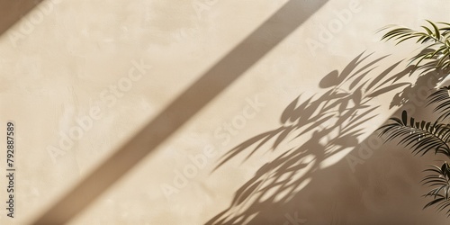 A wall with a plant in the foreground and a shadow on the wall