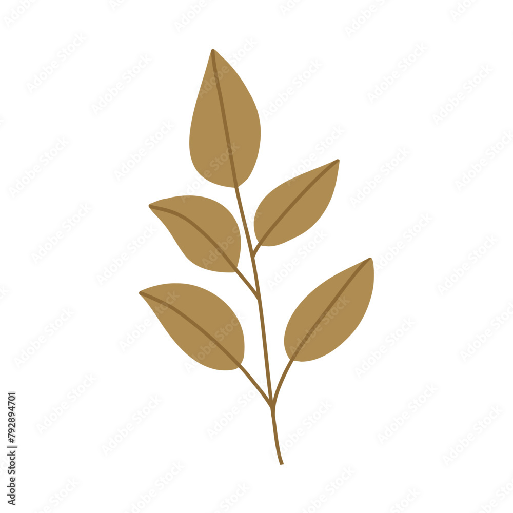 Hand drawn autumn plant with leaves, cartoon flat vector illustration isolated on white background. Fall nature design element.