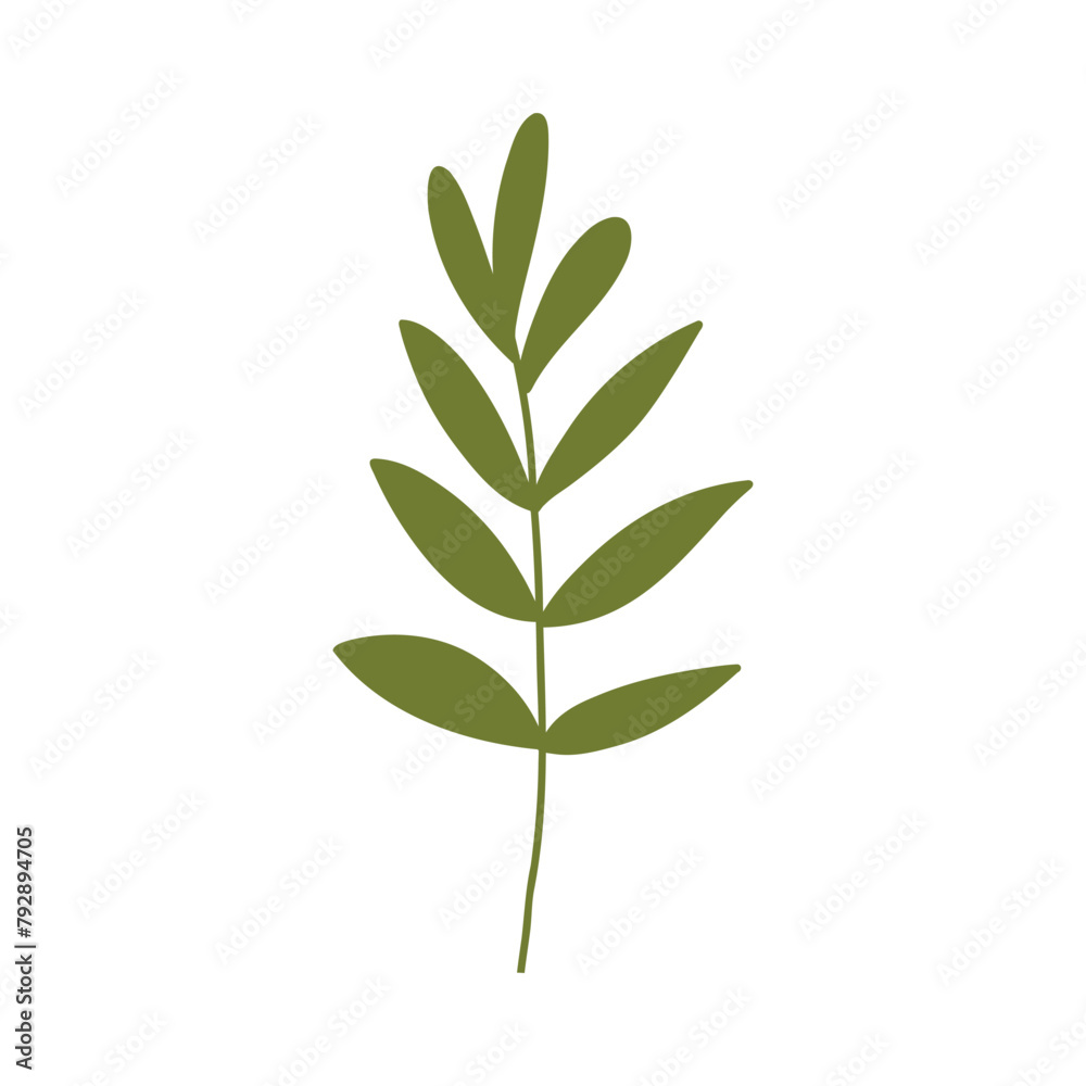 Cute hand drawn branch with green leaves, cartoon flat vector illustration isolated on white background. Drawing of plant, botany element.