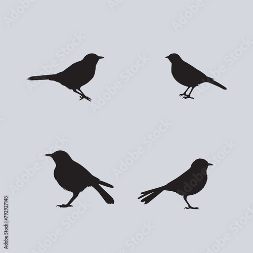 Set of black bird silhouettes. Vector elements for design.