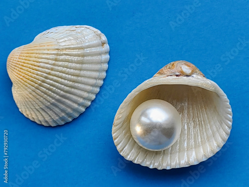 There is a large mother-of-pearl in a shell on a blue background