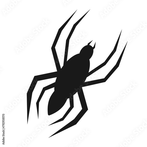 Black spider silhouette, close up spider, isolated scary big spider, poisonous insect, arachnophobia background, spider vector icon