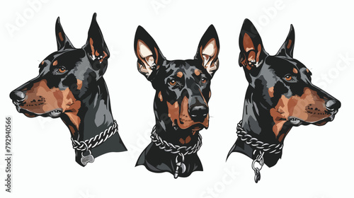 Portraits of a Doberman dog. Set of three Four heads.