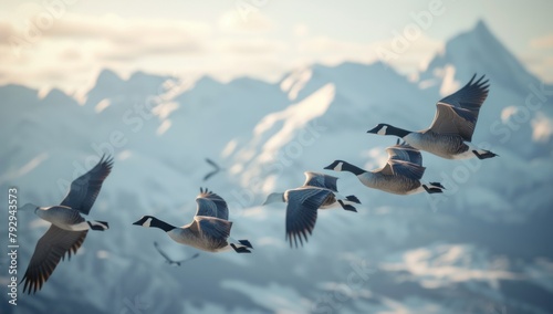 A flock of Canadian geese flying in the sky photo