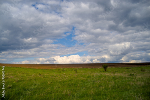 Meadow, plowed field and cloudy sky