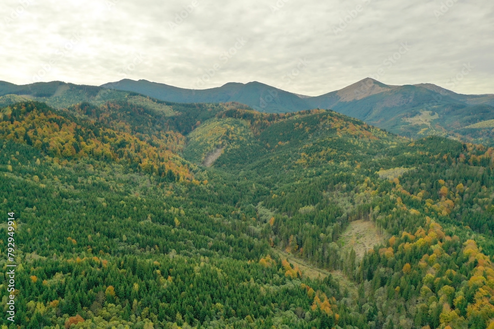 Aerial view of beautiful mountain forest on autumn day