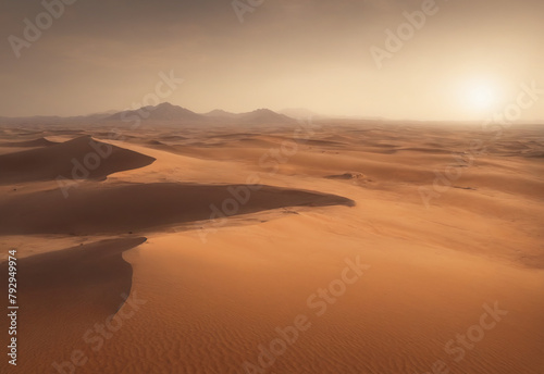 Landscape Desert, Cactus, Sun