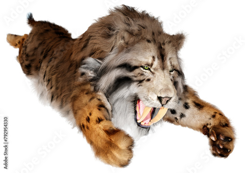 3D Rendering Saber Toothed Tiger on White