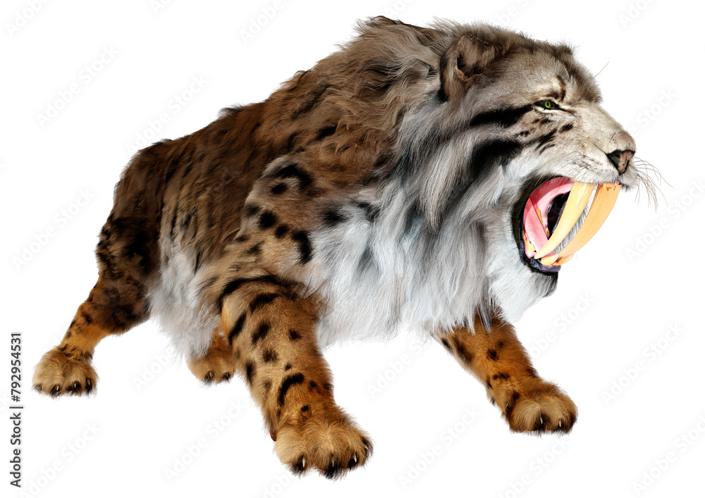 Fototapeta premium 3D Rendering Saber Toothed Tiger on White