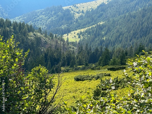 summer mountain landscape