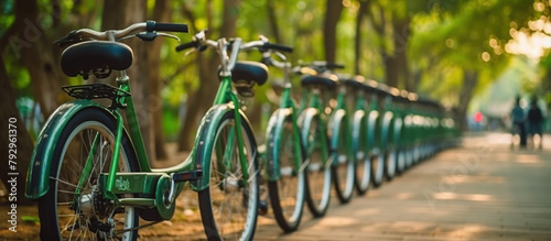 Street transportation green public rent bicycles, Bike Sharing Program