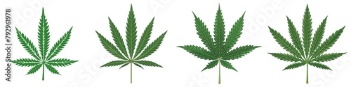 Drug legalization background illustration - Set collection of marijuana leaf, cannabis plant, isolated on white background banner panorama