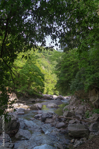 A river beside the promenade at Settsukyo Park, Settsu, Takatsuki City, Osaka Prefecture