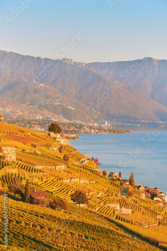 Golden landscape of Lavaux vineyards in autumn, Switzerland