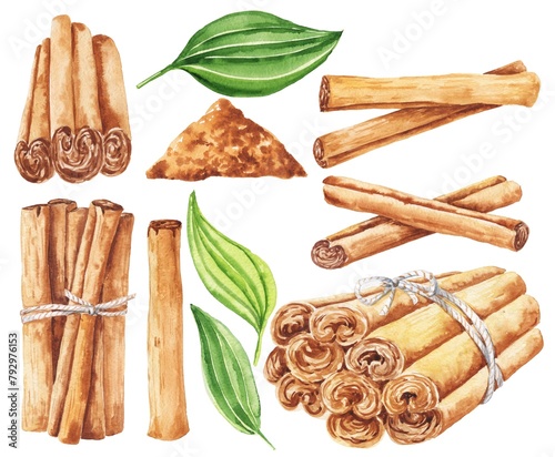 Cinnamon sticks and leaves watercolour illustration  © Ann Lou