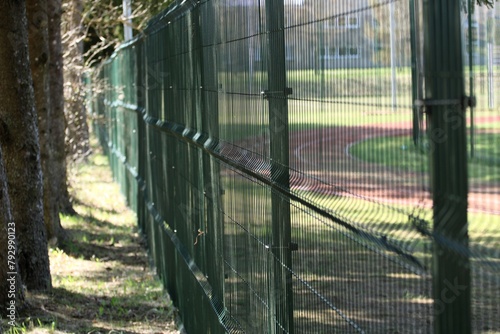 a green metal fence between the avenue of trees and the sports field
