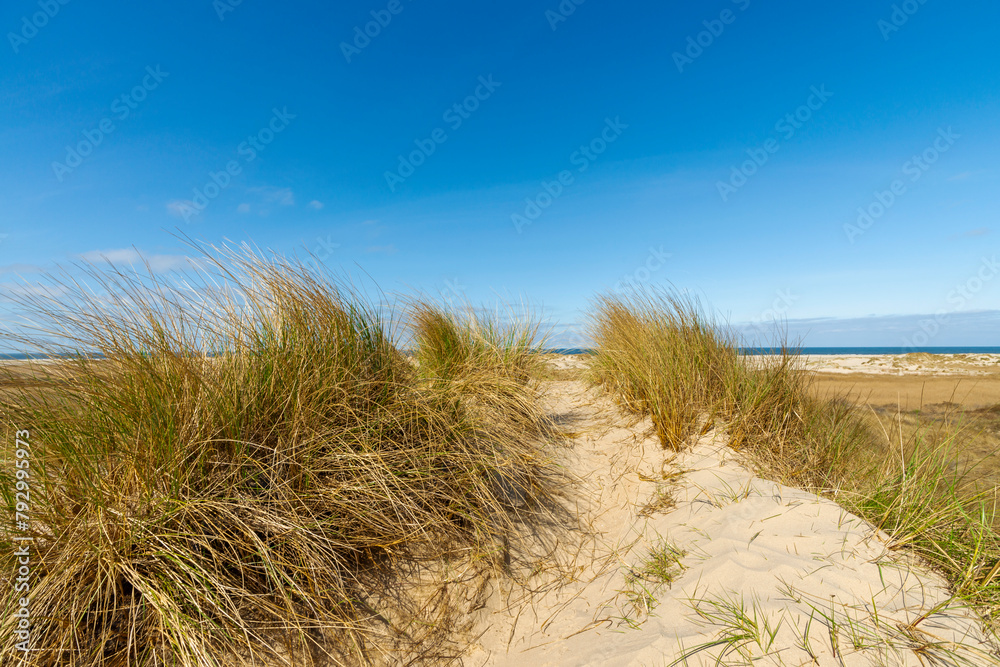 Die Dünenlandschaft auf der dänischen Insel Römö Die Dünenlandschaft auf der dänischen Insel Römö