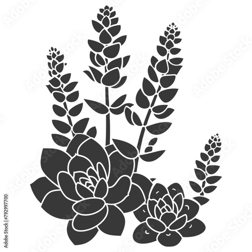 Silhouette Succulent plant black color only